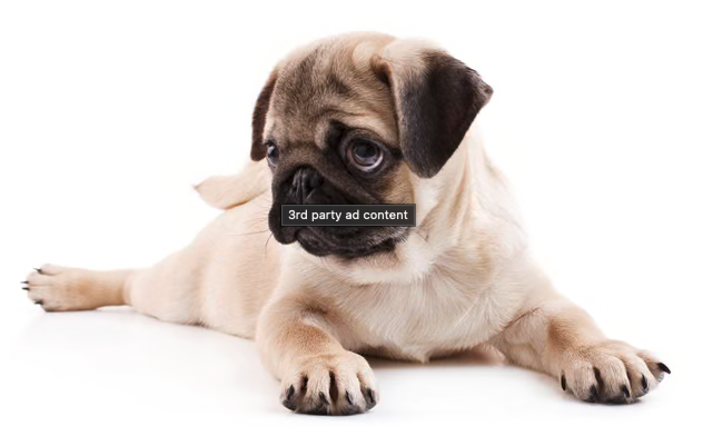 Photo of a cute, sad-looking puppy.